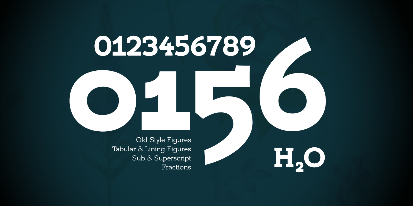 Umba Slab Alt Thin Font preview